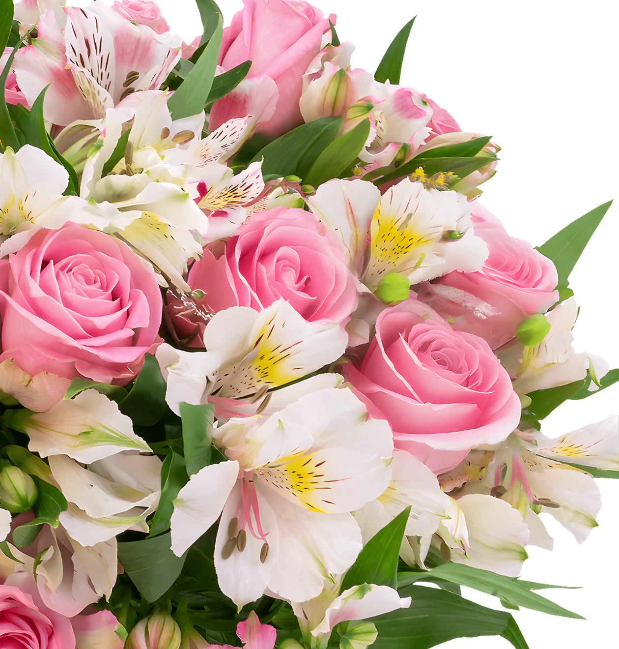 Sweet Surprise XL - Blume Ideal