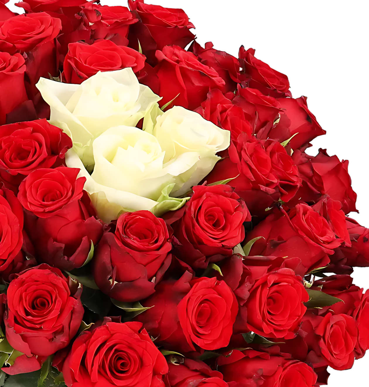 60 Rosen - “Sweetheart”