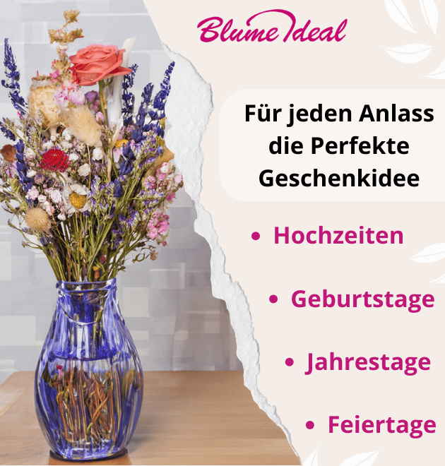 Trockenblumenstrauß "Lena" - Blume Ideal