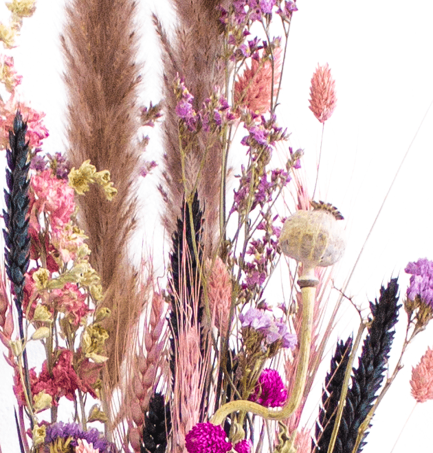 Trockenblumenstrauß "Lena" - Blume Ideal