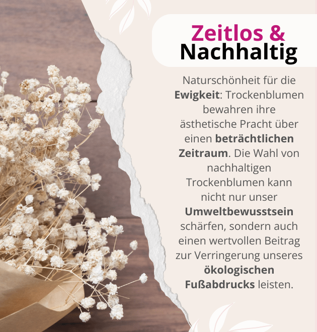 Trockenblumenstrauß "Lena" - Blume Ideal