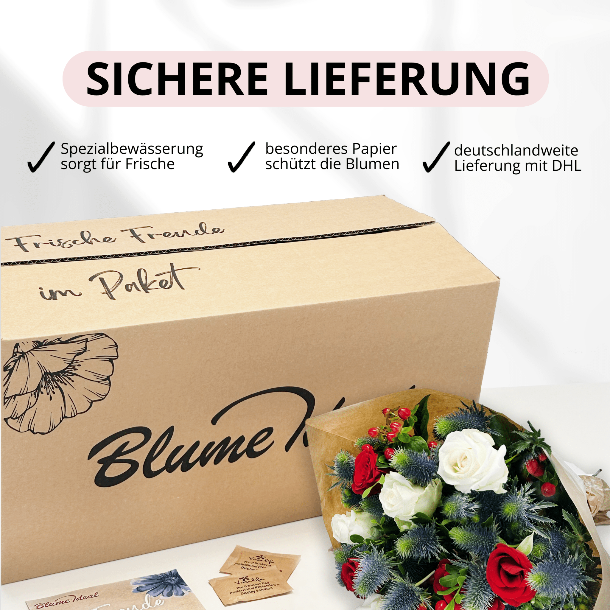 Weihnachtstraum - Blume Ideal