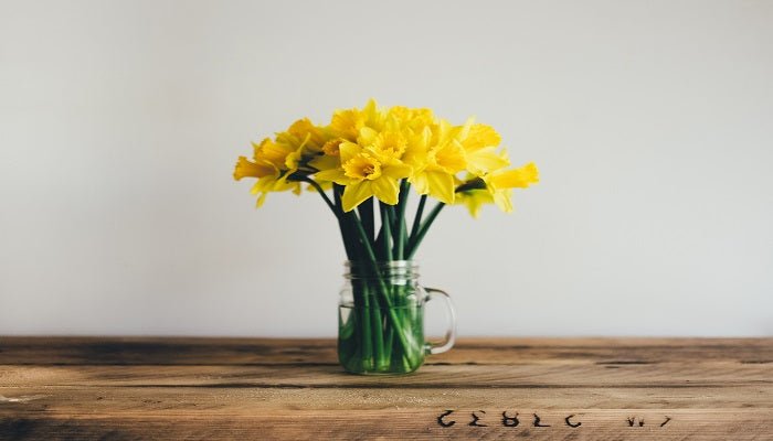 Schnittblumen frisch halten