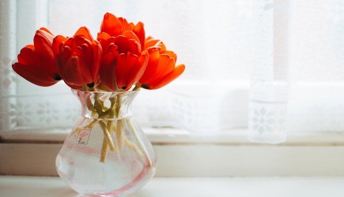 Schnittblumen Pflege - 5 schnelle und einfache Tipps - Blume Ideal