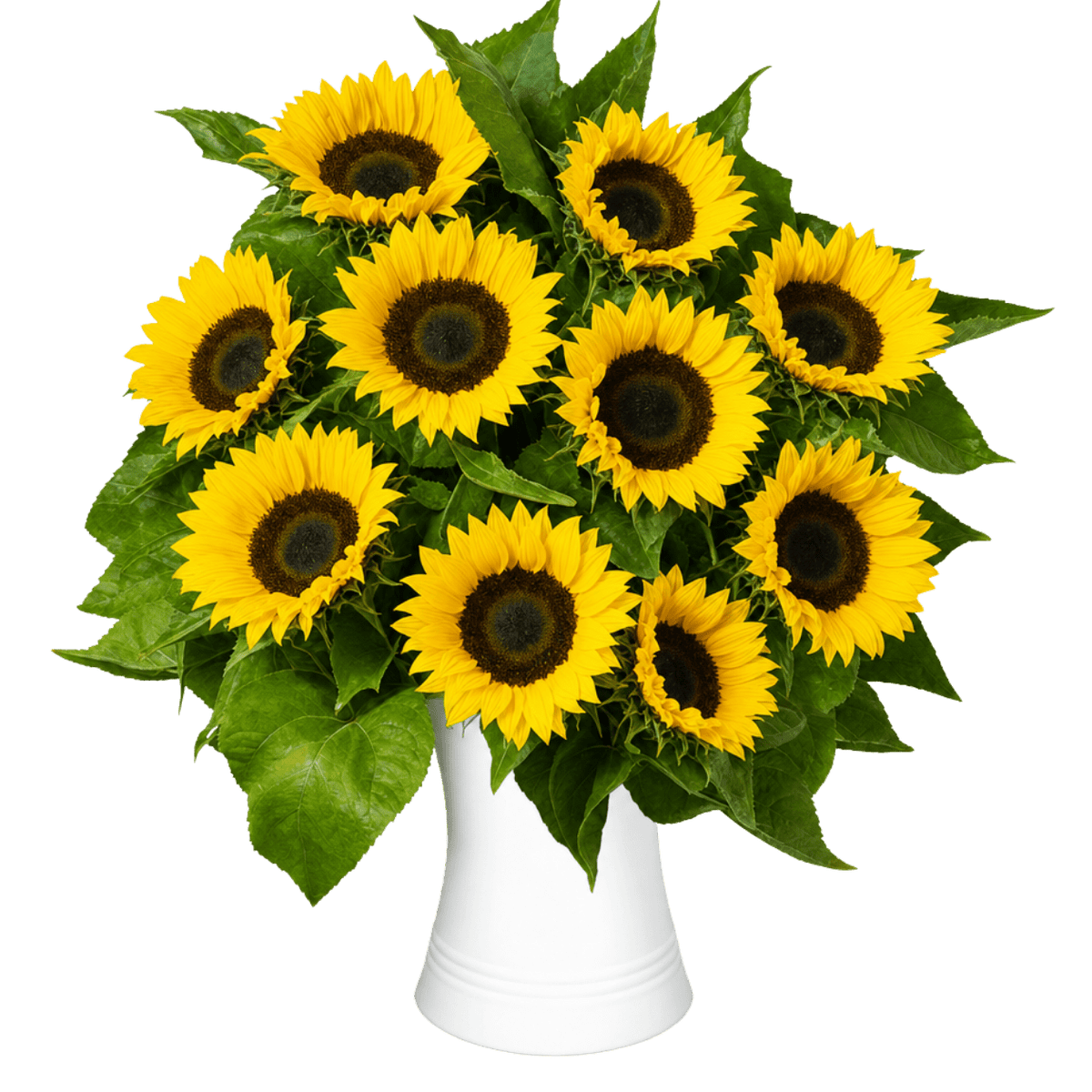 10 Sonnenblumen im Strauß – Perfektes Geschenk
