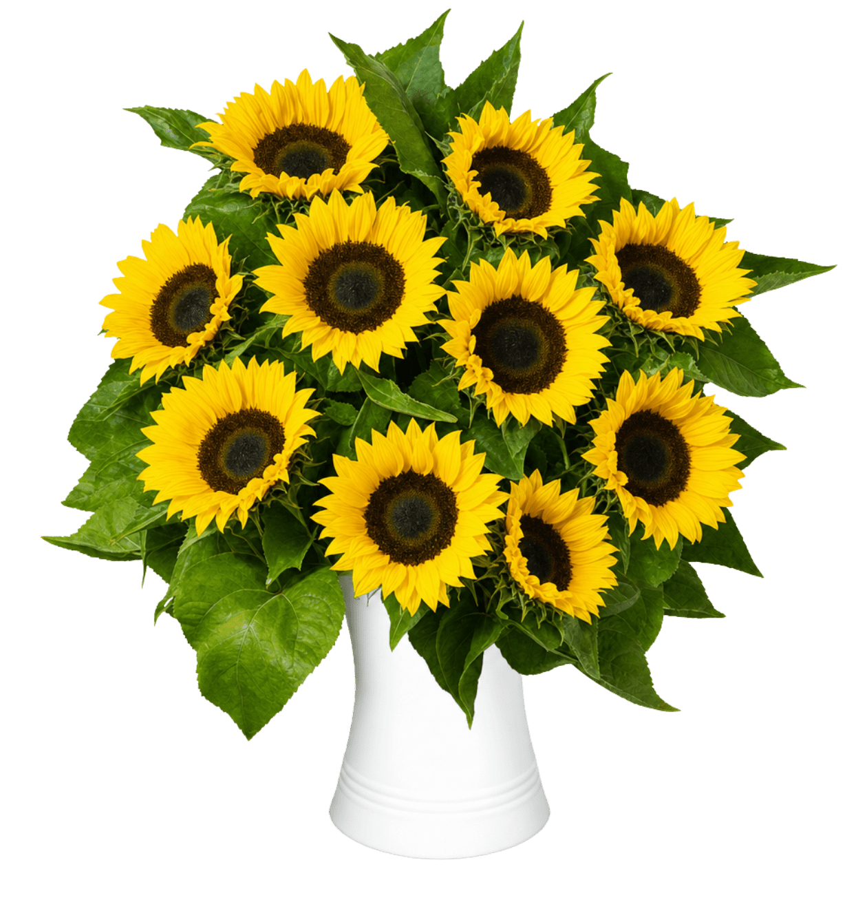 10 Sonnenblumen im Strauß – Perfektes Geschenk
