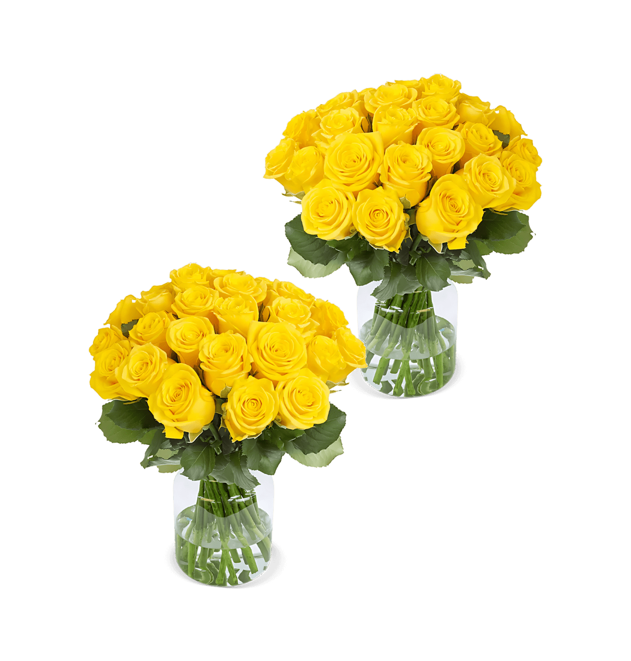 100 Gelbe Rosen (2x50 Stück) - Blume Ideal