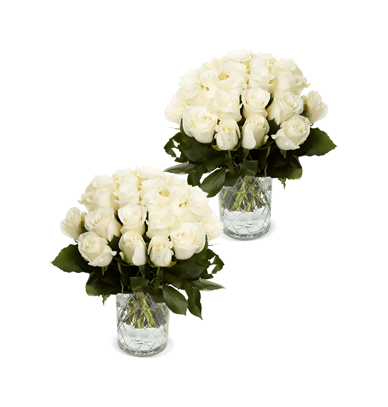 2x50 Weiße Rosen – 100 Stiele purer Eleganz | BlumeIdeal.de