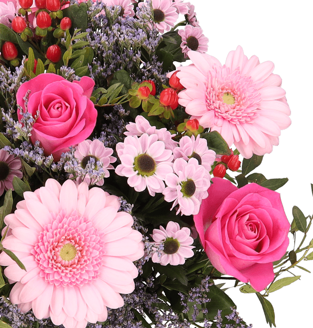 1000 Küsse - Blume Ideal