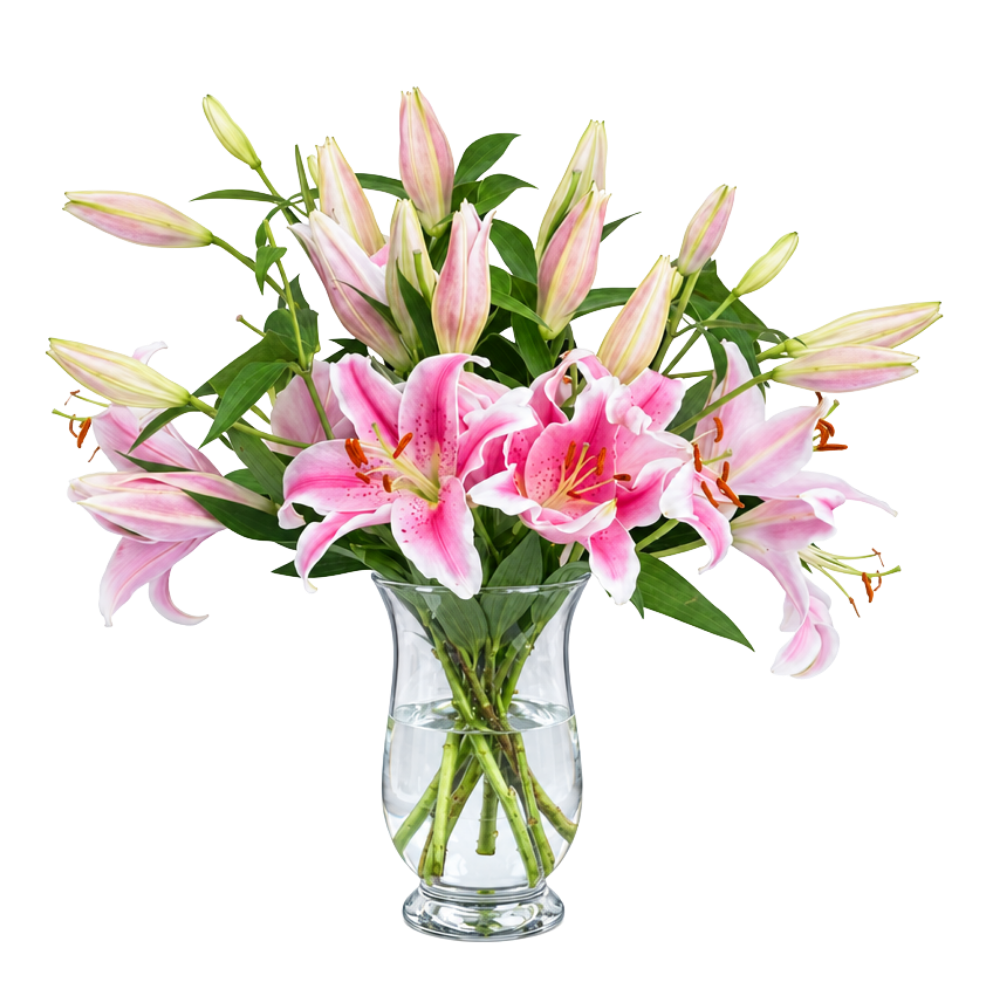 15 Pinke Lilien