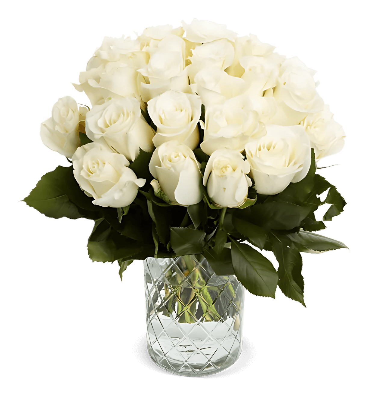 15 weiße Rosen - Blume Ideal