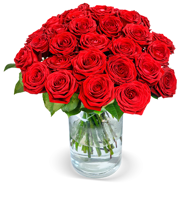 40 Premium Rosen "Red Naomi"