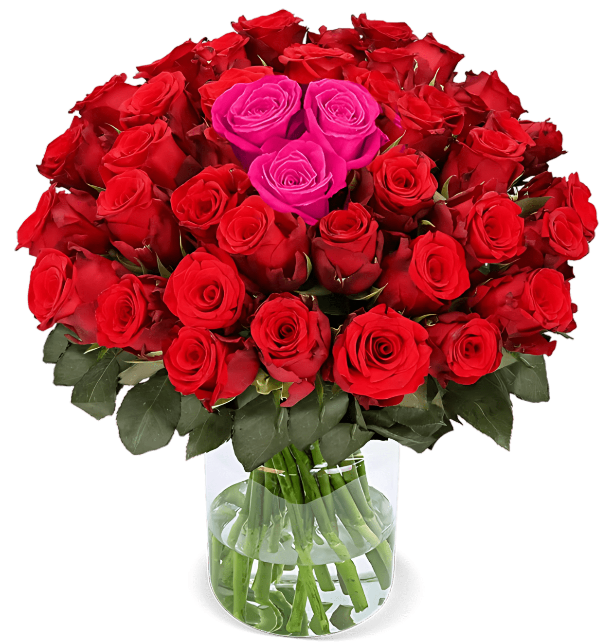 20 Rosen - “Heartbeat” - Blume Ideal