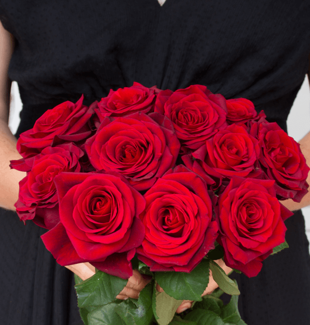 40 Premium Rosen "Red Naomi"