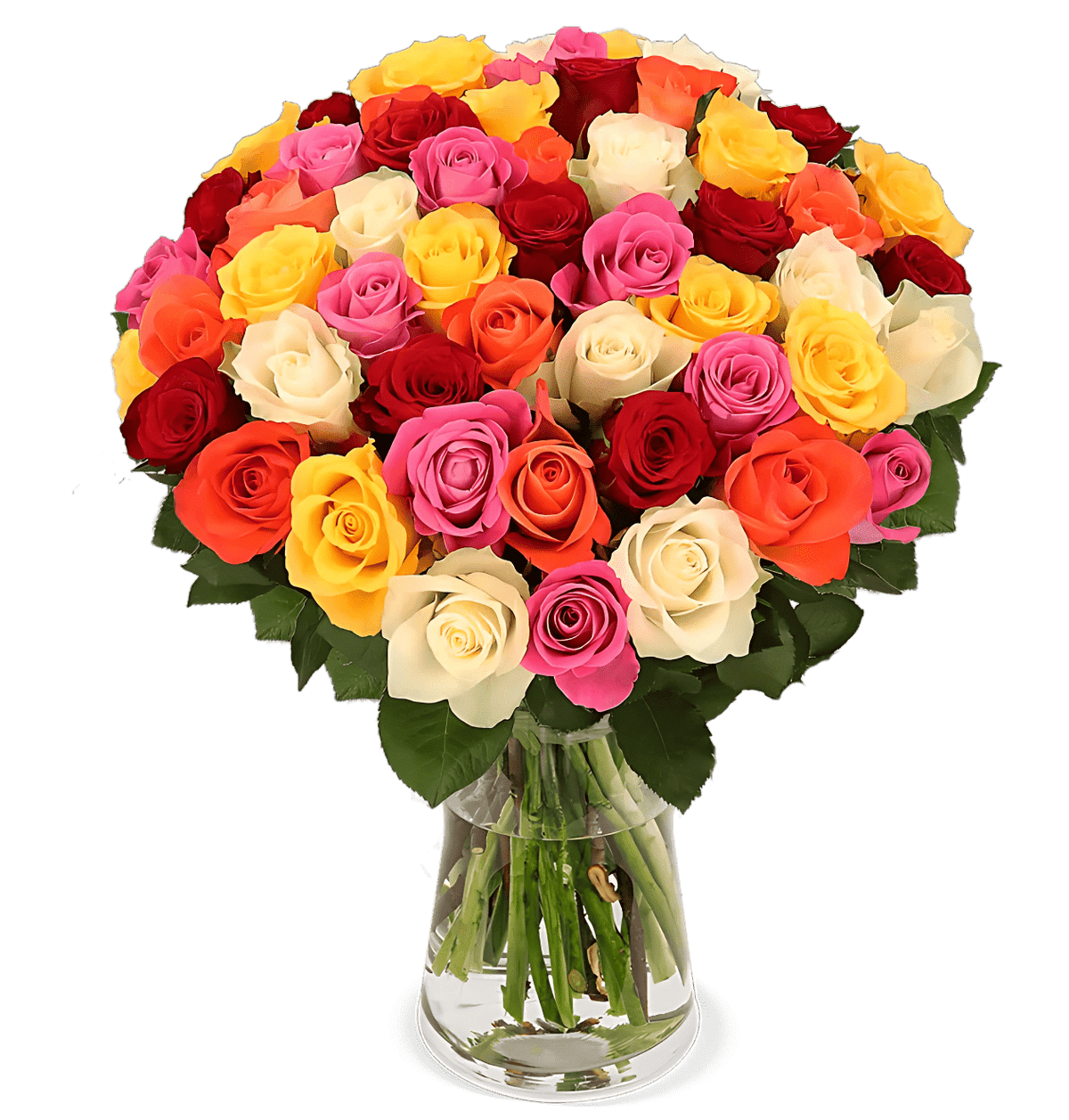 30 bunte Rosen - Rosenstrauß online kaufen | BlumeIdeal.de