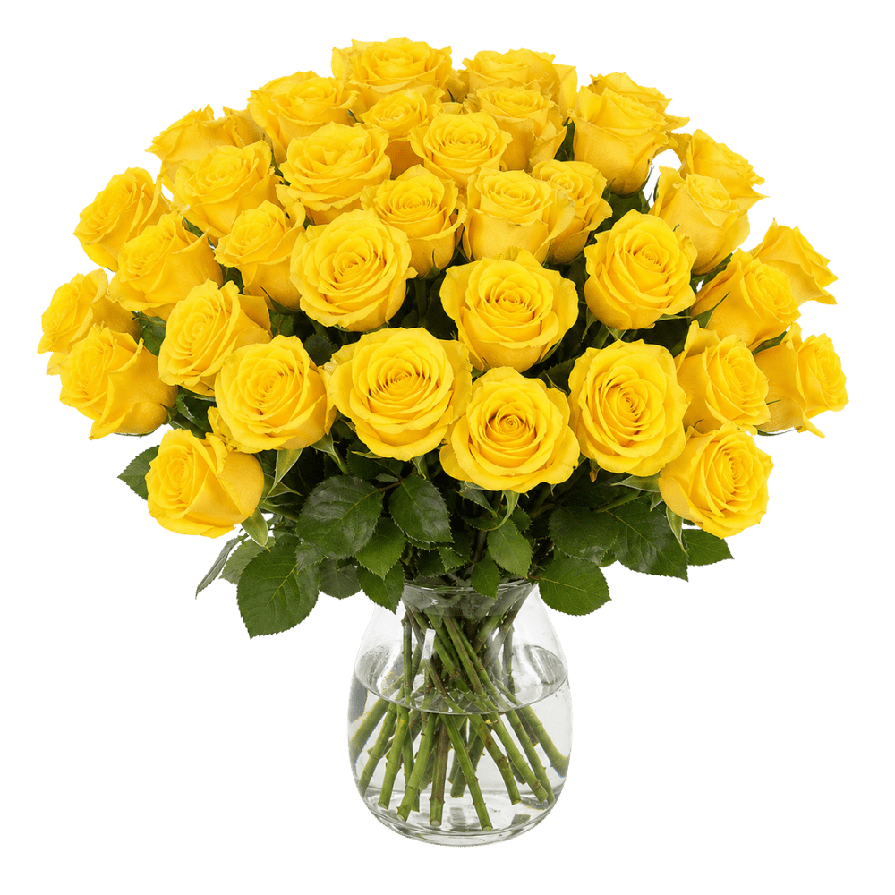 30 gelbe Rosen - Blume Ideal