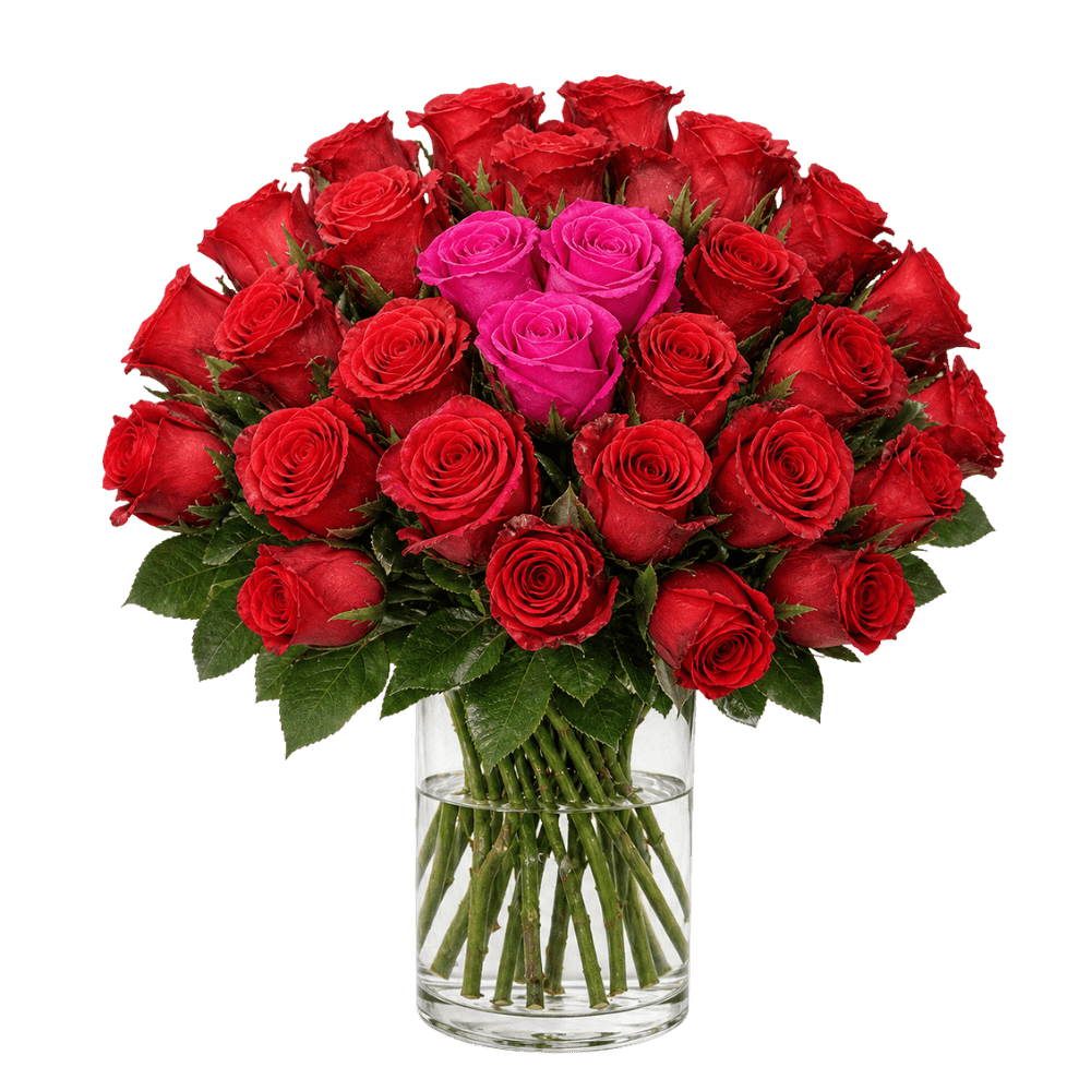 30 Rosen - “Heartbeat” - Blume Ideal