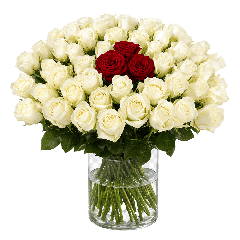 30 Rosen - “Nordlicht” - Blume Ideal