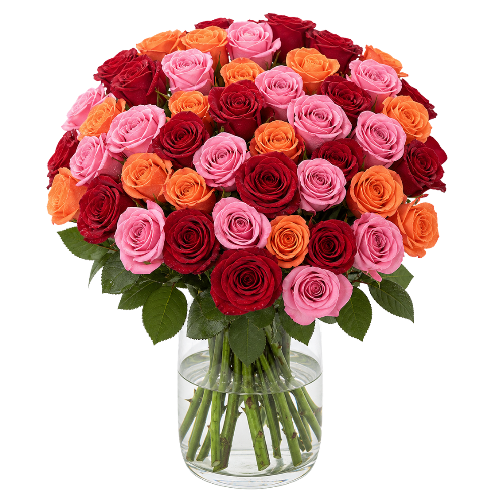 30 Rosen - “Rosenbeet” - Blume Ideal