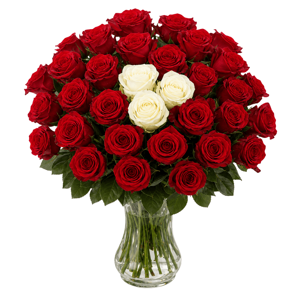 30 Rosen - “Sweetheart” - Blume Ideal