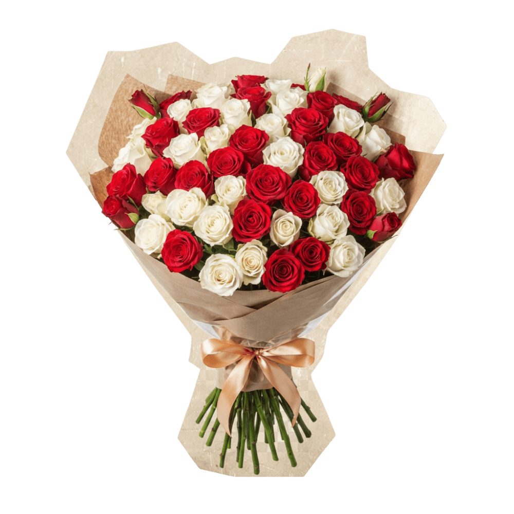 30 rot weiße Rosen - Blume Ideal