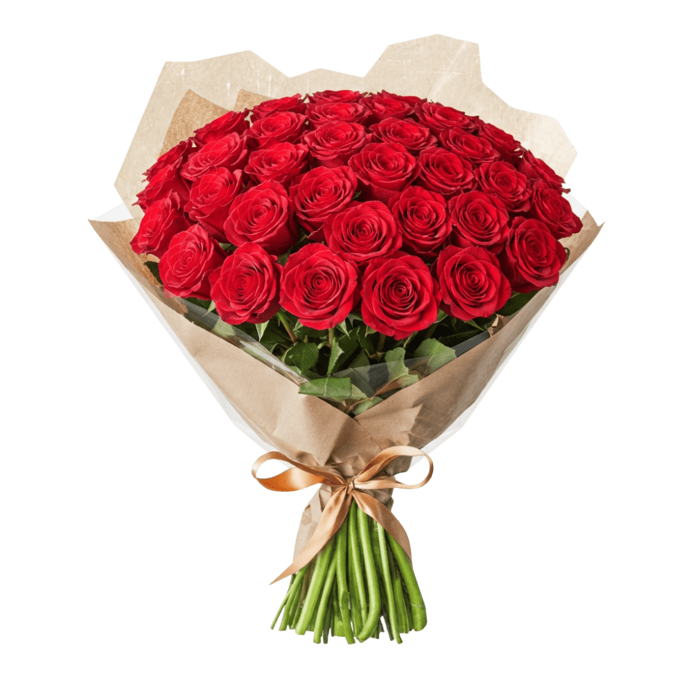 30 rote Rosen - Blume Ideal