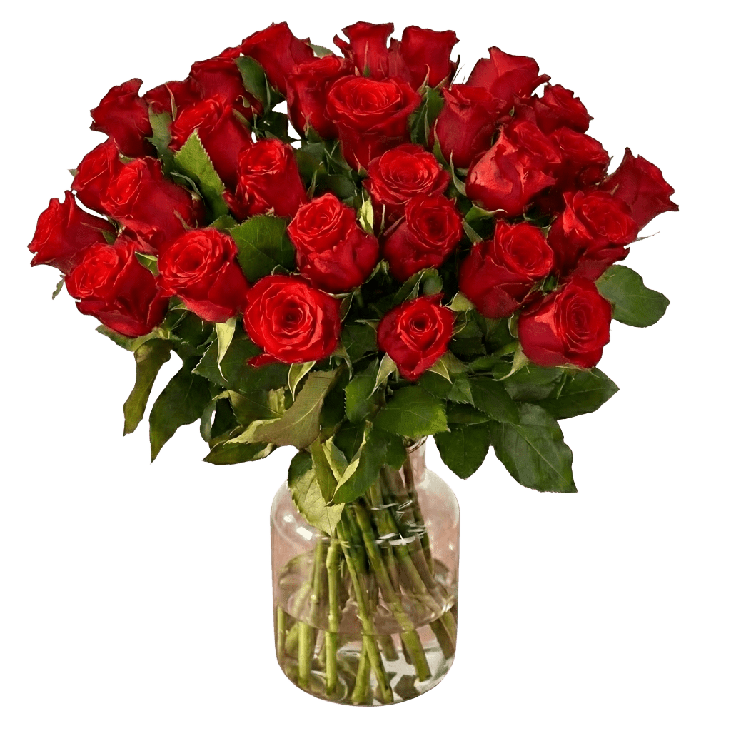 30 rote Rosen zum Weltfrauentag - Blume Ideal