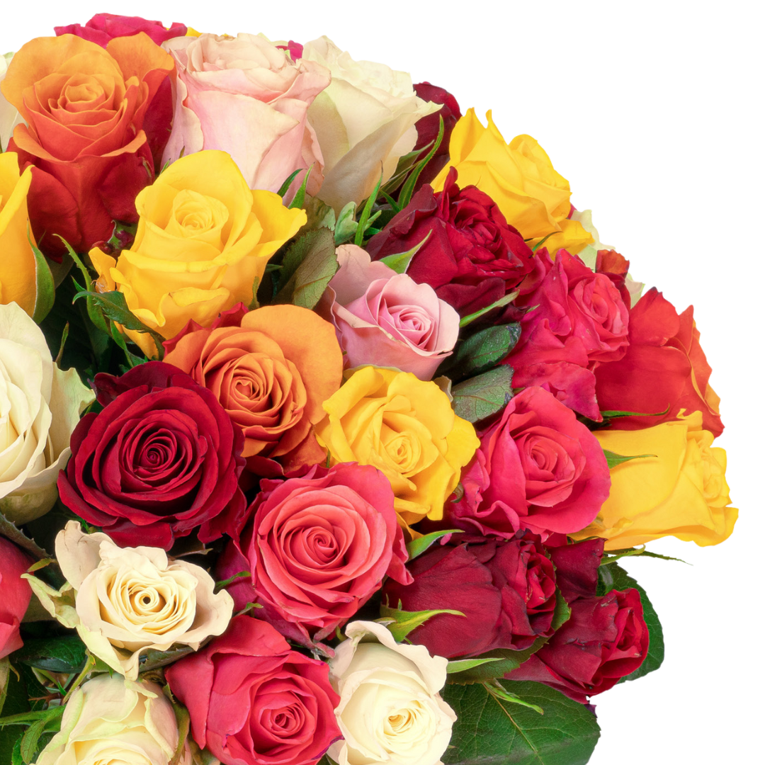 33 bunte Rosen