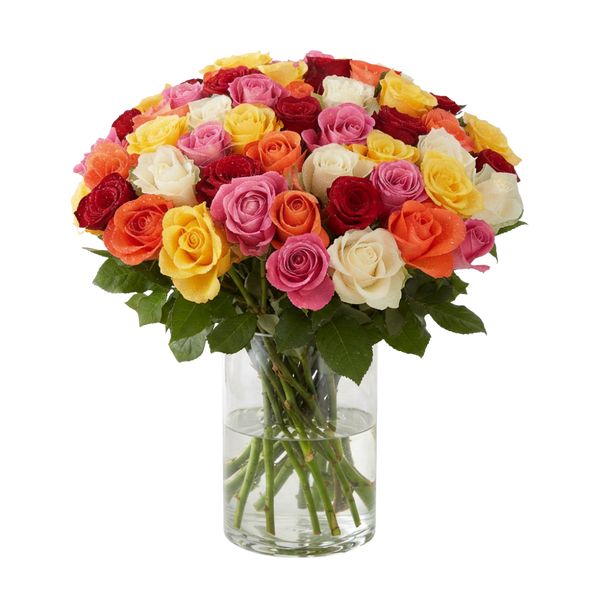 40 bunte Rosen