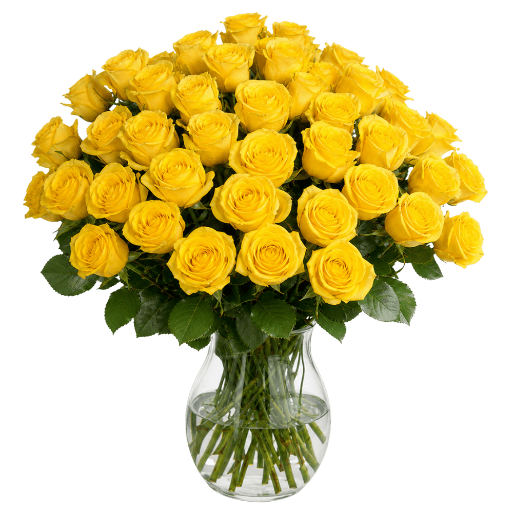 40 gelbe Rosen - Blume Ideal