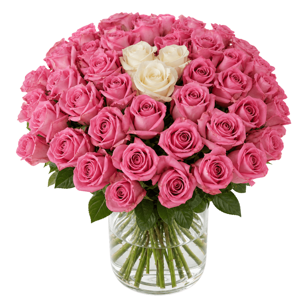 40 Rosen - “Pink Special” - Blume Ideal
