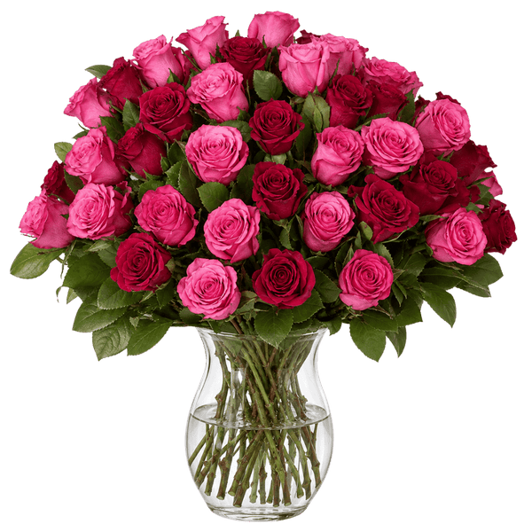 40 Rosen - "Romantic Roses"