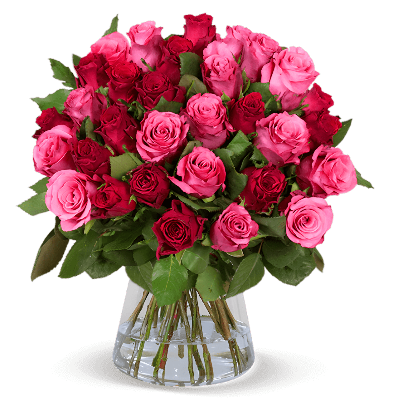 40 Rosen - "Romantic Roses" - Blume Ideal