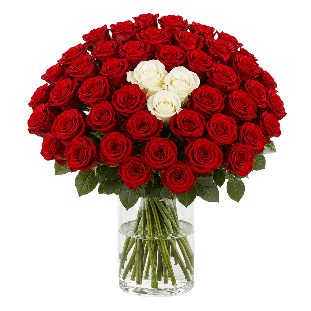 40 Rosen - “Sweetheart” - Blume Ideal