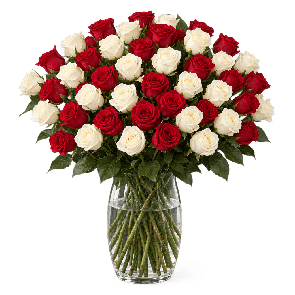 40 rot weiße Rosen - Blume Ideal
