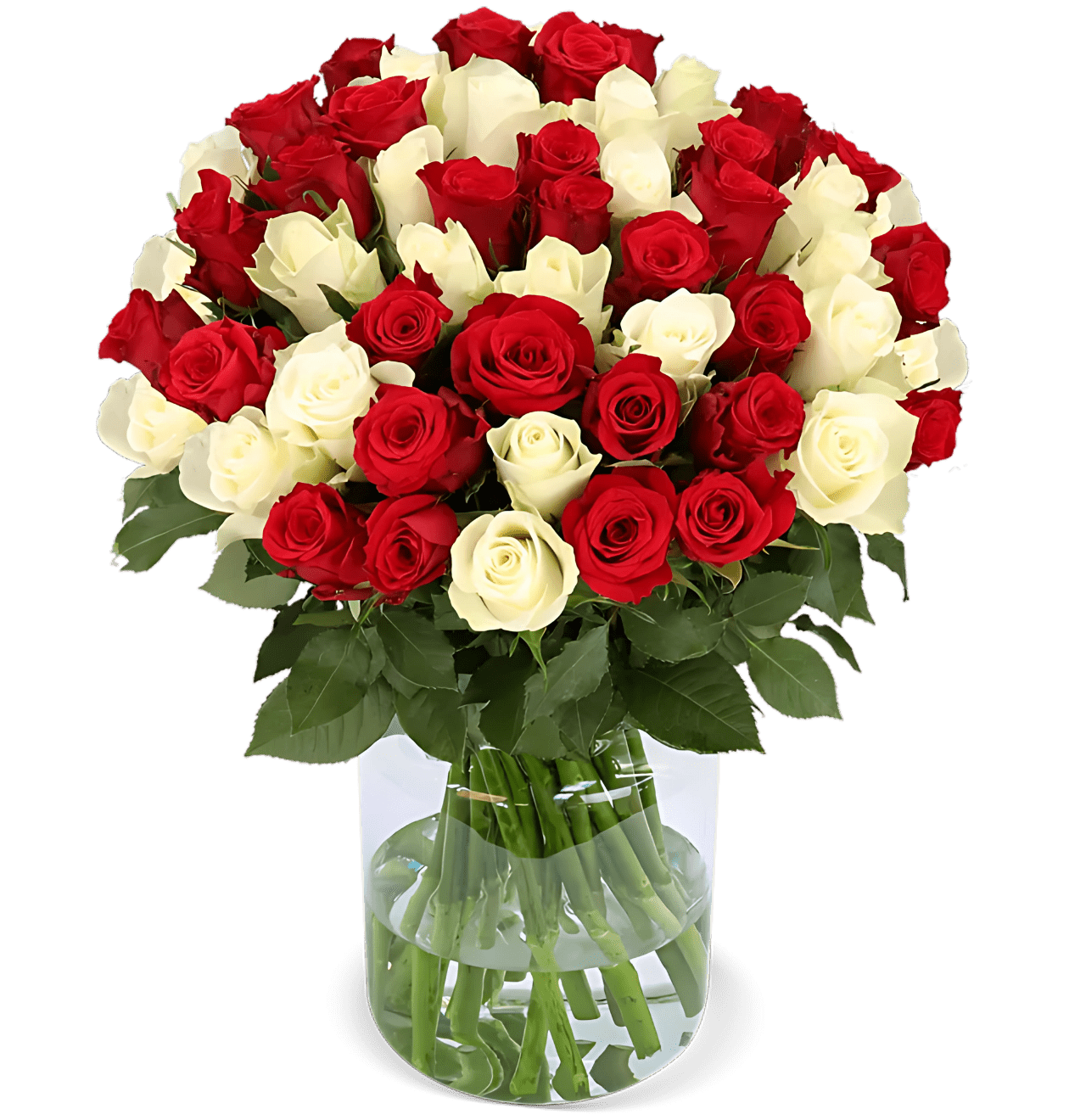40 rot weiße Rosen - Blume Ideal