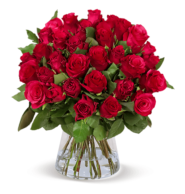 40 rote Rosen