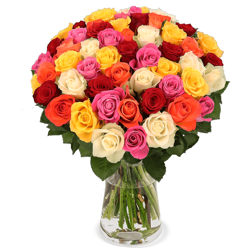 50 bunte Rosen - Blume Ideal