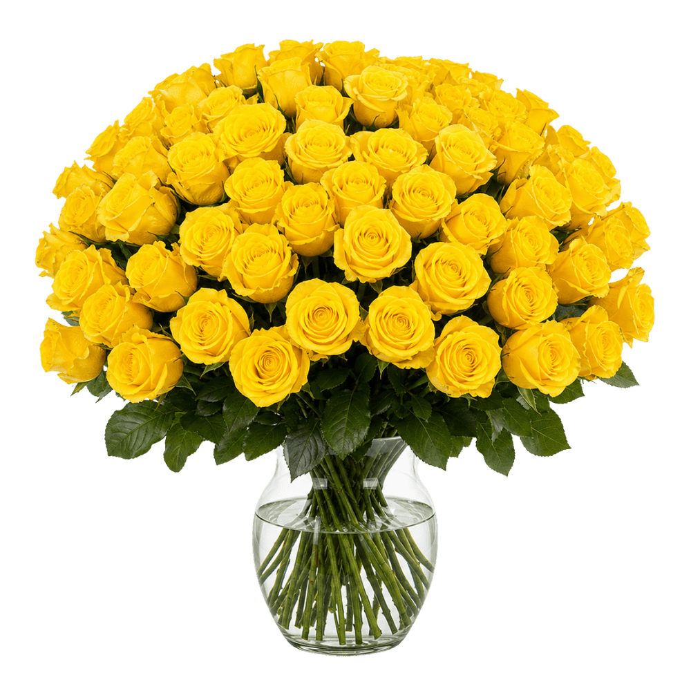 50 gelbe Rosen - Blume Ideal
