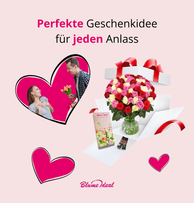 50 Rosen - Love Loud - Blume Ideal