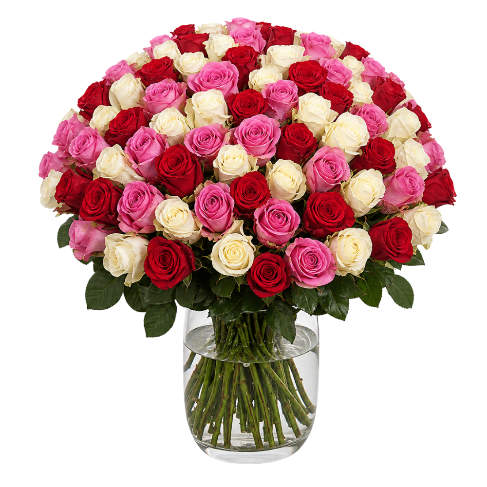 50 Rosen - Love Loud - Blume Ideal