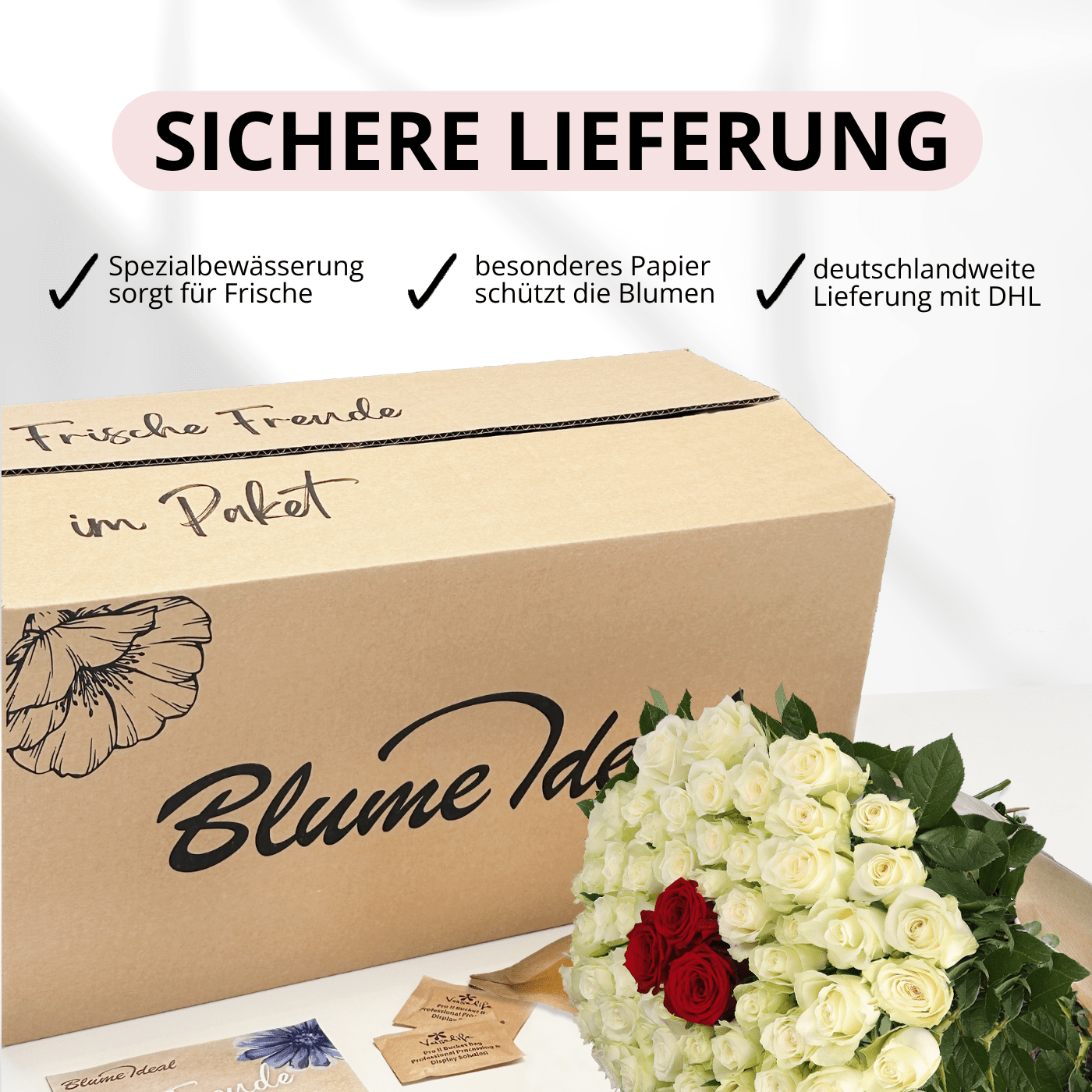 50 Rosen - "Nordlicht" - Blume Ideal