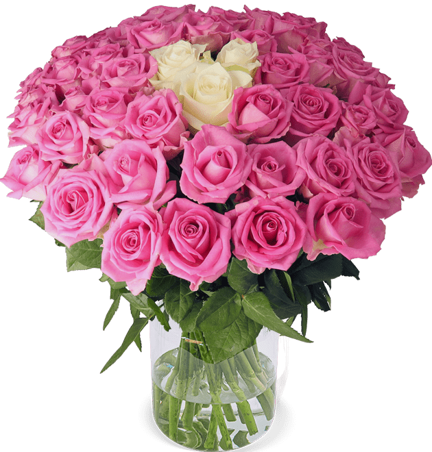 50 Rosen - "Pink Special" - Blume Ideal