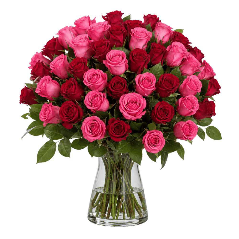 50 Rosen - "Romantic Roses" - Blume Ideal