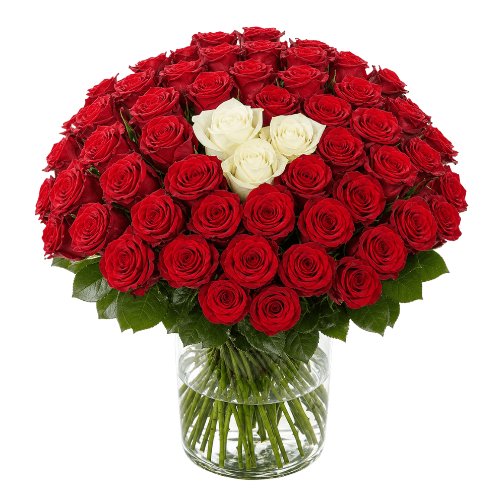 50 Rosen - "Sweetheart" - Blume Ideal