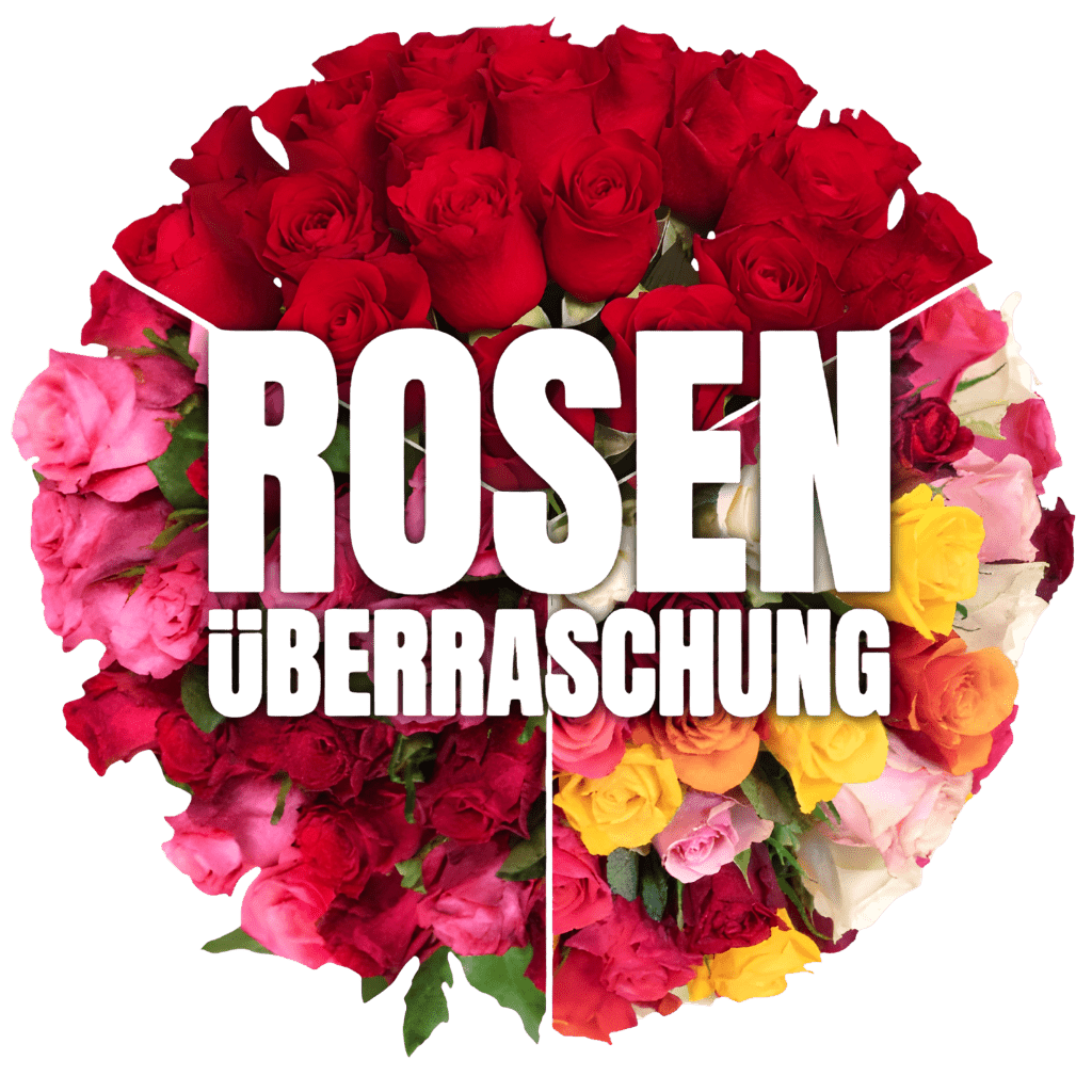 50 Rosenüberraschung (40 - 50cm) - Blume Ideal