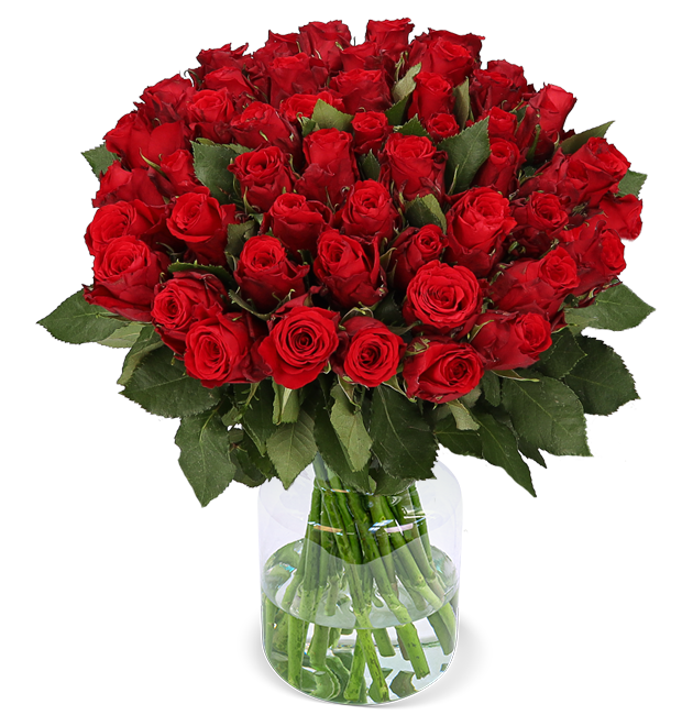50 rote Rosen