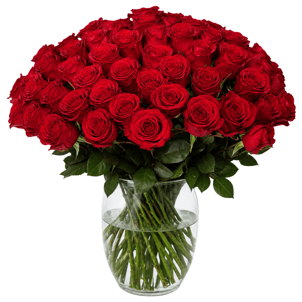 XXL Rosenstrauß mit 50 roten Rosen bestellen