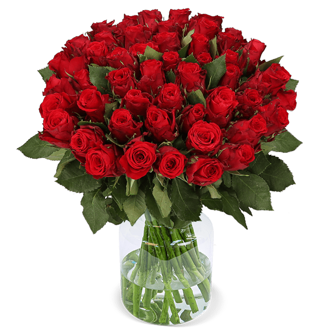 XXL Rosenstrauß mit 50 roten Rosen bestellen | BlumeIdeal.de