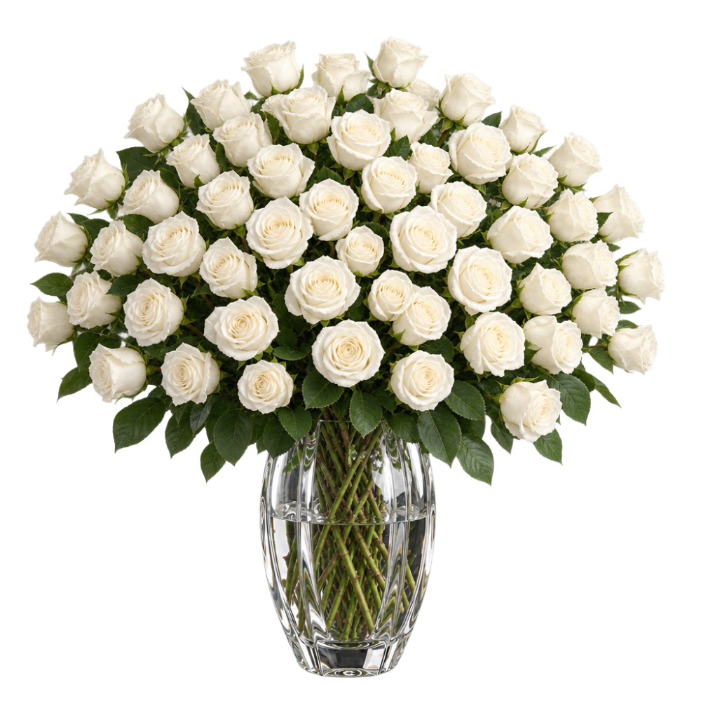 50 weiße Rosen